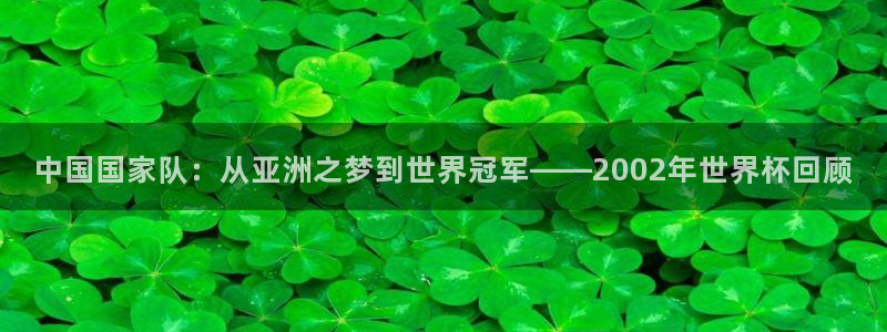 足球世界杯2026：中国国家队：从亚洲之梦到世界冠军——2002年世界杯回顾