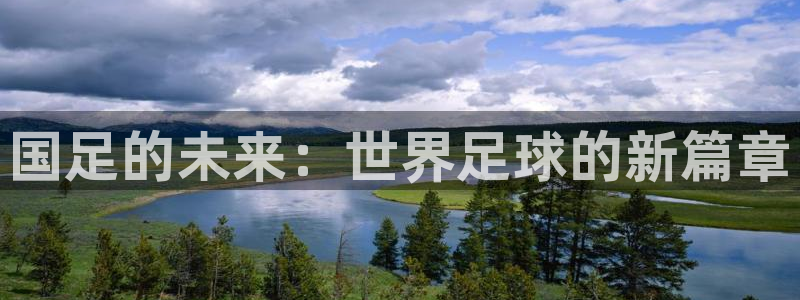 世界杯预选赛：国足的未来：世界足球的新篇章