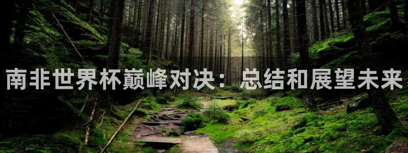 2026年世界杯直播平台：南非世界杯巅峰对决：总结和展望未来