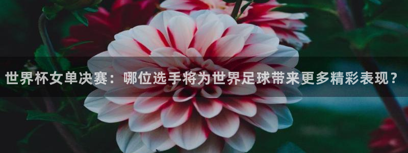世界杯在线直播入口：世界杯女单决赛：哪位选手将为世界足球带来更多精彩表现？