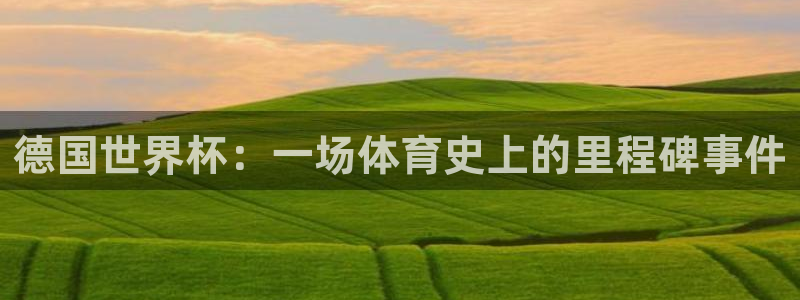 2026年世界杯时间表：德国世界杯：一场体育史上的里程碑事件