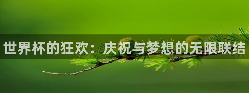 世界杯在线直播入口：世界杯的狂欢：庆祝与梦想的无限联结