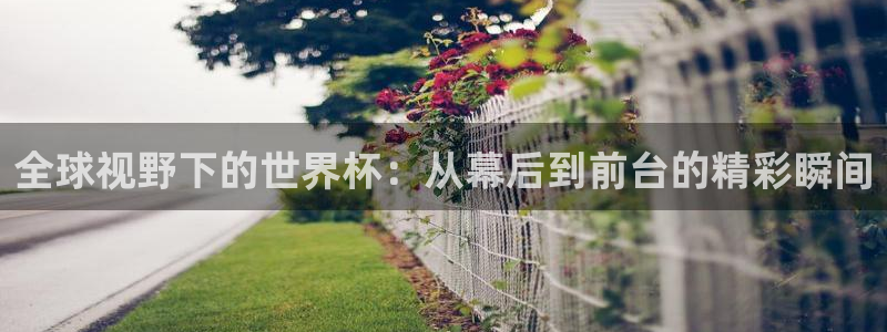 2026世界杯德国队阵容：全球视野下的世界杯：从幕后到前台的精彩瞬间