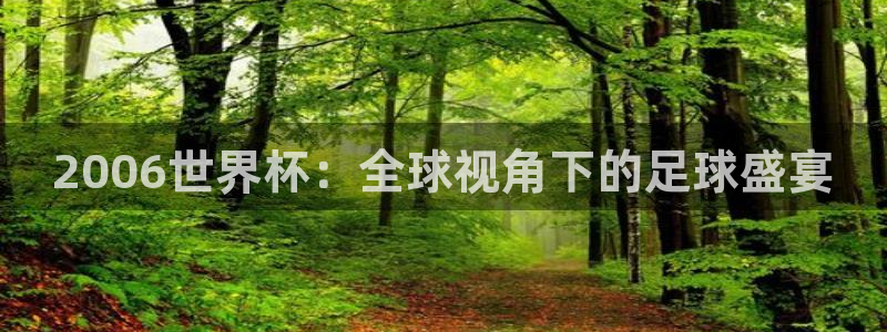 世界杯亚洲区预选赛赛程表：2006世界杯：全球视角下的足球盛宴