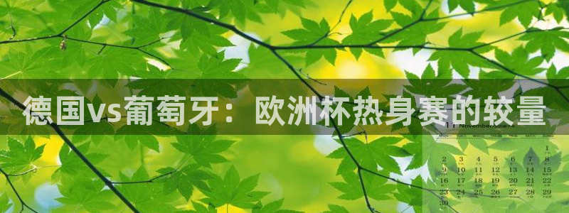 世界杯预选赛规则：德国vs葡萄牙：欧洲杯热身赛的较量