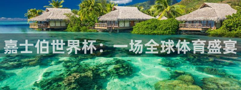 男足世界杯预选赛赛程：嘉士伯世界杯：一场全球体育盛宴