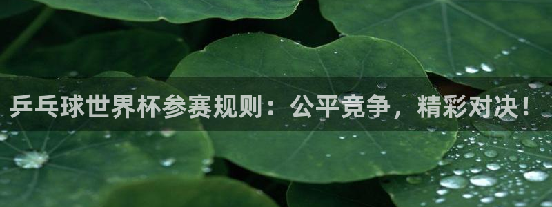 世界杯赛程时间表：乒乓球世界杯参赛规则：公平竞争，精彩对决！
