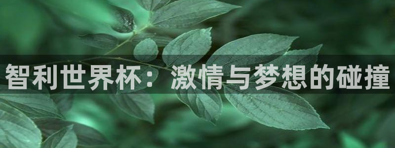 世界杯赛程2026：智利世界杯：激情与梦想的碰撞