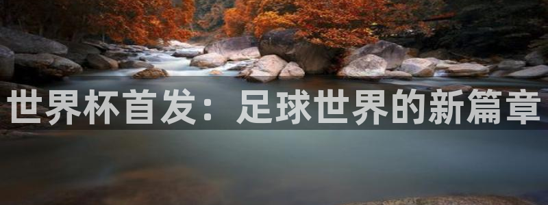 2026世界杯中国队：世界杯首发：足球世界的新篇章