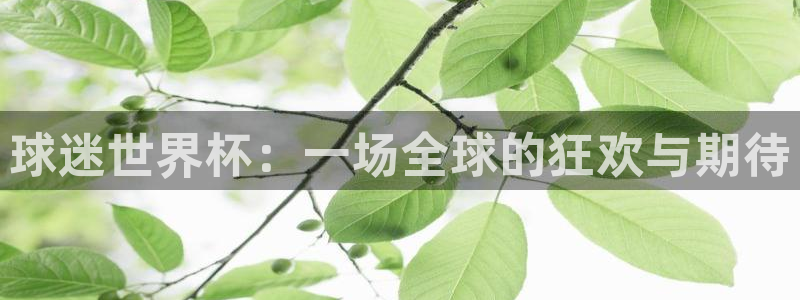 2026足球世界杯赛程时间表：球迷世界杯：一场全球的狂欢与期待