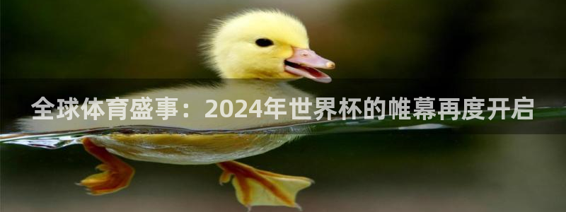 世界杯预选赛排名：全球体育盛事：2024年世界杯的帷幕再度开启
