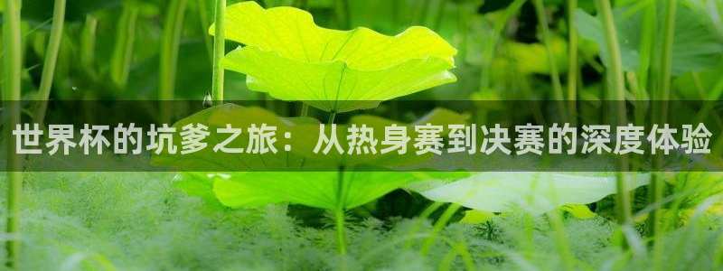 澳门世界杯直播：世界杯的坑爹之旅：从热身赛到决赛的深度体验