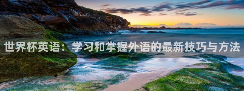 2026 世界杯：世界杯英语：学习和掌握外语的最新技巧与方法