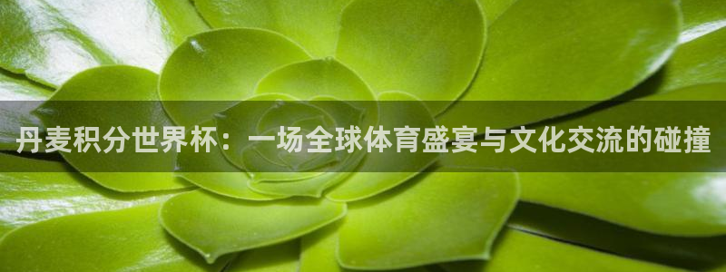 看世界杯：丹麦积分世界杯：一场全球体育盛宴与文化交流的碰撞