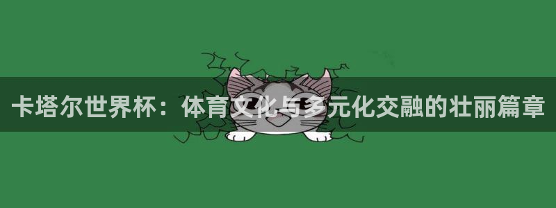 世界杯预选赛：卡塔尔世界杯：体育文化与多元化交融的壮丽篇章